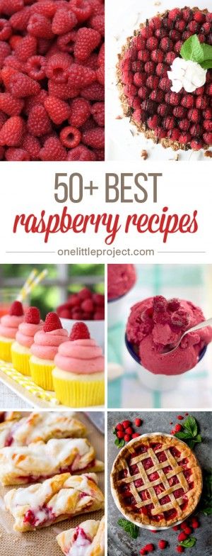 50+ Best Raspberry Recipes - These raspberry recipes are AMAZING!  Whatever you're craving, you will find some raspberry inspiration here! Best Raspberry Recipes, Yellow Raspberry Recipes, What To Make With Frozen Raspberries, Things To Do With Raspberries, Things To Make With Raspberries, Recipes With Frozen Raspberries, Raspberries Recipes, Rasberry Recipes, Best Strawberry Recipes