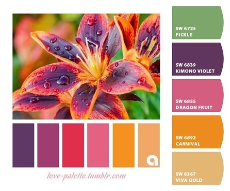 Paint colors from ColorSnap by Sherwin-Williams Bold Bedroom, Color Schemes Colour Palettes, Color Palate, Design Seeds, Color Balance, Color Palette Design, Color Inspo, Color Stories, Colour Schemes