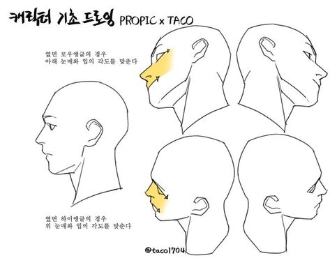 Tilted Side Profile Reference, Head Tilt Up Reference, Head Tilted To The Side, Profile Drawing, 얼굴 드로잉, Anatomy Tutorial, Drawing Heads, Human Anatomy Art, Anatomy Sketches