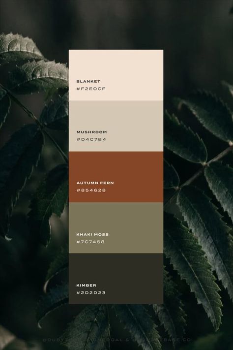 Green Terracotta Black Color Palettes, Down To Earth Color Palette, Color Pallets Earth Tones, Neutral Masculine Color Palette, Nature Color Pallets, Nature Wedding Colors Palette, Earthy Moody Color Palette, Natural Brand Color Palette, Colour Palette Brown Earth Tones