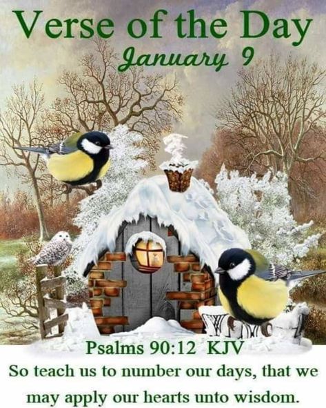 Love Of Family, Isaiah 26, Daily Scripture, Shop With Me, January 9, King James Bible, January 15, You Are Loved, Daily Bible Verse