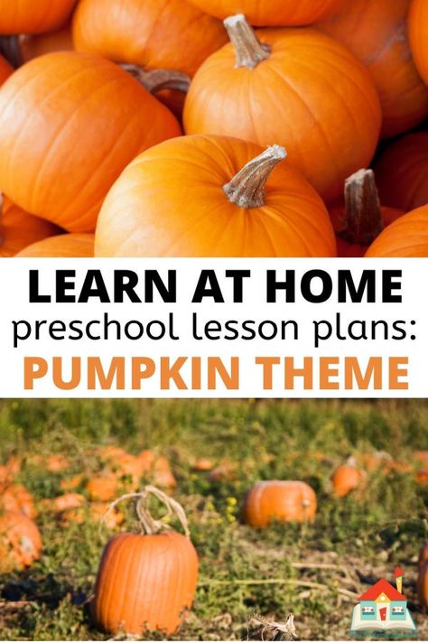 Dig into pumpkins with these free pumpkin-themed preschool lesson plans. With over 16 pumpkin themed activities, these hands-on and developmentally appropriate art, literacy, math, social, and more are great for your fall planning. Plus, they are available as a free download and require simple, everyday materials. It’s Pumpkin Day Mouse Activities, Pumpkins Lesson Plans Preschool, Pumpkin Theme Preschool Lesson Plans, Pumpkin Investigation Preschool, Pumpkin Lesson Plans For Preschool, Kindergarten Pumpkin Activities, Pumpkin Theme Preschool, Pumpkin Themed Activities, Pumpkin Activities For Toddlers