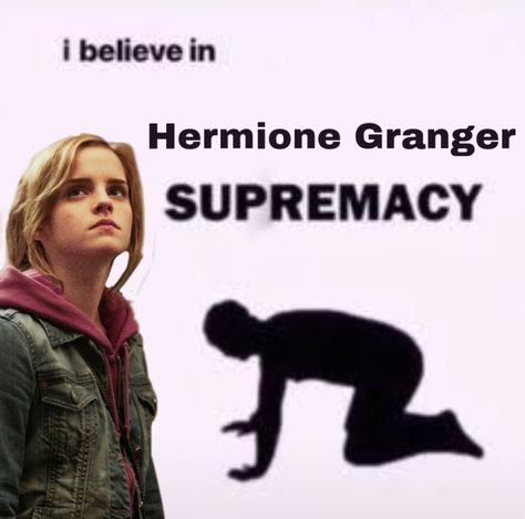 Hermione Meme, Vinyl Aesthetic, Snape Harry, Harry Potter Actors, Roblox Memes, Harry Potter Obsession, Girl Boss Quotes, Harry Potter Characters, Harry Potter World