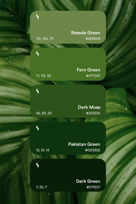 Aesthetic Visuals, Pantone Palette, Green Color Palette, Color Design Inspiration, Fonts Creative, Hues Of Green, Green Palette, Color Palette Inspiration, Nature Color Palette