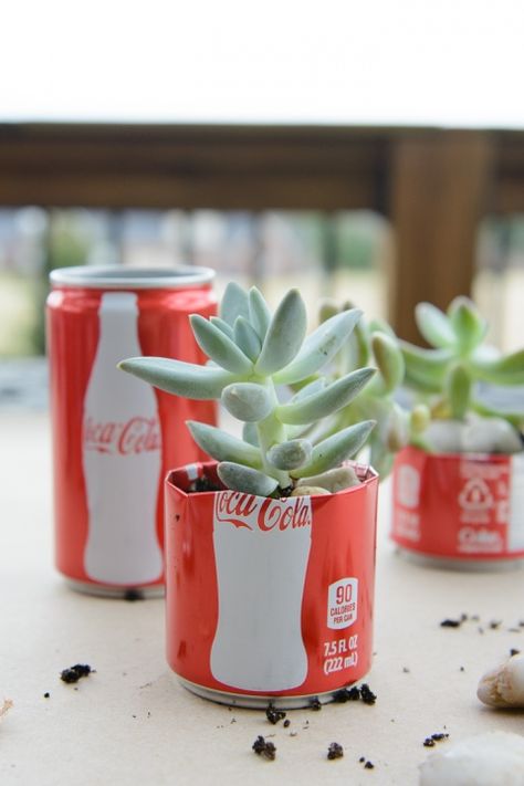 DIY Coke Can Succulent Planter- a clever way to recycle those cute mini coke cans Can Craft Ideas, River Plants, Coke Can Crafts, Simple Greenhouse, Fun Planters, Coca Cola Decor, Soda Can Crafts, Coke Can, Garden Problems