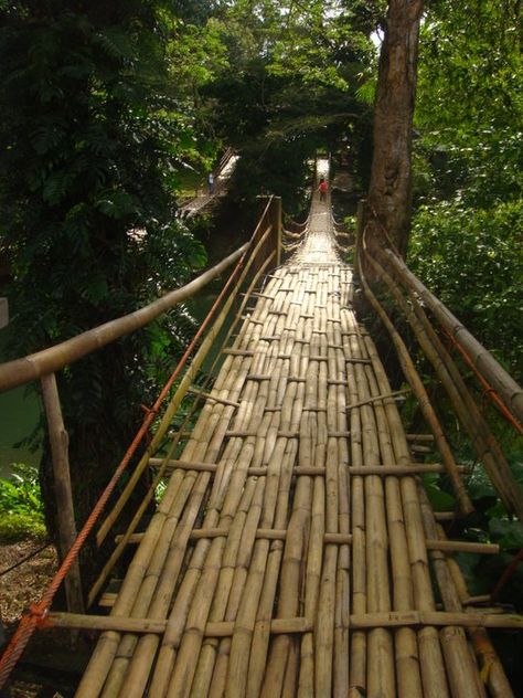 Hanging bridge Bamboo Walkway Pathways, Bamboo Walkway, Pond Bridge, Hanging Bridge, Farm Pond, Natural Swimming Ponds, Swimming Pond, Bamboo House, Location Inspiration