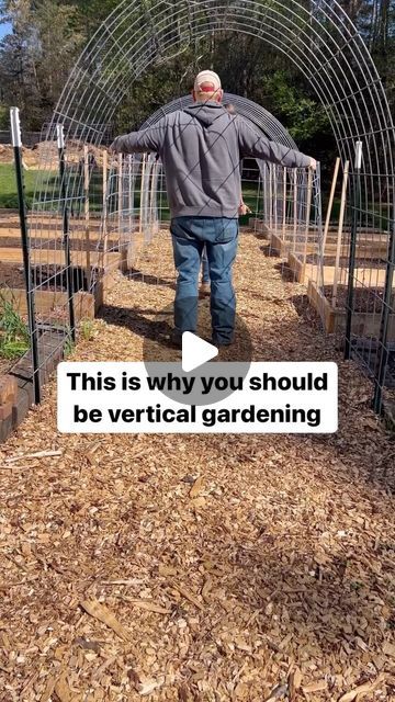 Amber Benge 🌻 Grace Walk Farm on Instagram: "Ready to go ALL IN on gardening? Sign up for Garden School. You’ll learn how to grow food for your family step-by-step from healthy soil to big harvests. Comment GROW FOOD for a link! Here’s why I love vertical gardening… Space Efficiency: Vertical gardening maximizes space, making it ideal for small yards or balconies where horizontal space is limited. Improved Yield: By using vertical space, gardeners can grow more plants in a smaller area, increasing overall yield and productivity. It’s Beautiful! Vertical gardens can be visually appealing, creating a unique and attractive landscape that adds beauty to outdoor spaces. Reduced Pest Issues: Elevating plants can help minimize contact with soil-borne pests, reducing the risk of infestations Small Yards, Vertical Gardening, Vertical Gardens, Home Vegetable Garden, Garden Yard Ideas, Vegetable Garden Design, Food Garden, Garden Signs, Garden Layout