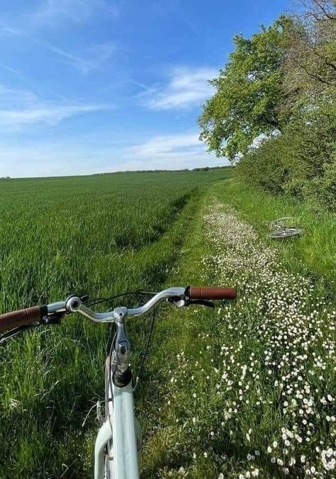 Areti’s Bicycle Aesthetic, Summer Beach Wallpaper, Summer Flowers Garden, Bike Aesthetic, Summer Backgrounds, Ocean Vibes, Vintage Bike, Beach Wallpaper, Nature Girl