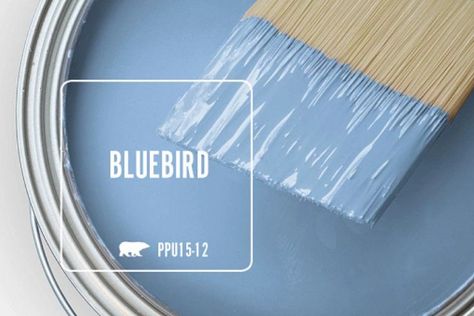 7 Behr Blue Paint Colors to Create a Serene Home 3 Behr Blue Paint, Behr Blue Paint Colors, Sky Blue Paint Colors, Benjamin Moore Paint Colors Blue, Blue Ceiling Paint, Behr Blue, French Blue Paint, Beach Paint Colors, Light Blue Paint Colors