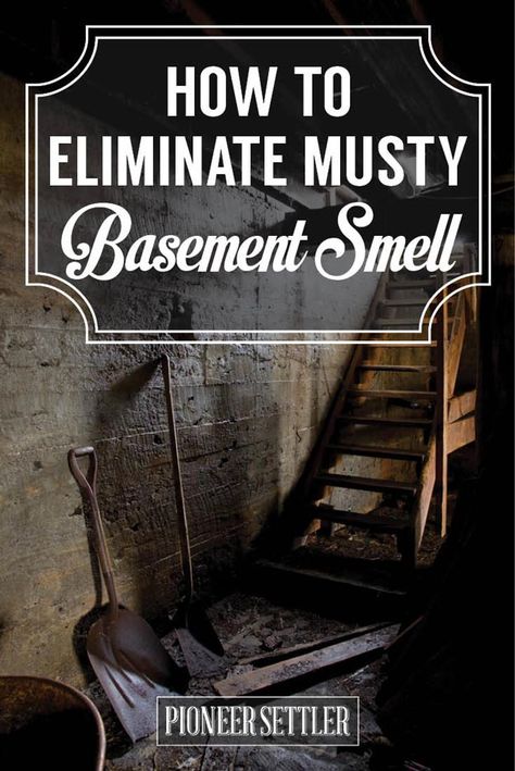 Basement Odor Eliminator, Musty Smell In House, Basement Odor, Basement Repair, Wet Basement, Basement Gym, Basement Laundry, Root Cellar, Basement Storage