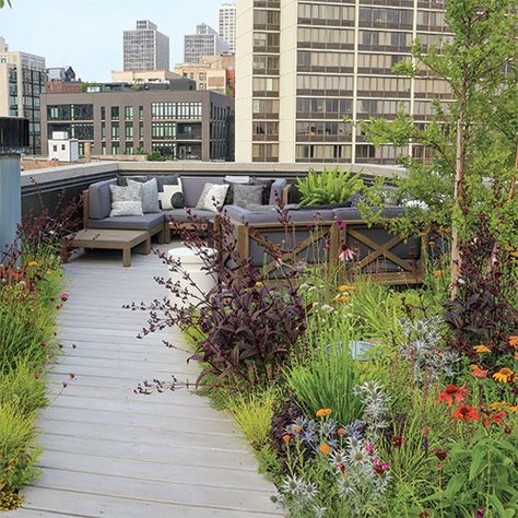 Each morning my partner, Steve, and I head up to our rooftop to greet the bees as they begin their days’ work. After all, time is honey. While I sometimes […] The post An Urban Rooftop Garden for Pollinators appeared first on FineGardening. Kate Hall, Urban Rooftop, Roof Garden Design, Urban Garden Design, Urban Landscape Design, London Garden, Pergola Plans, Rooftop Garden, Diy Pergola