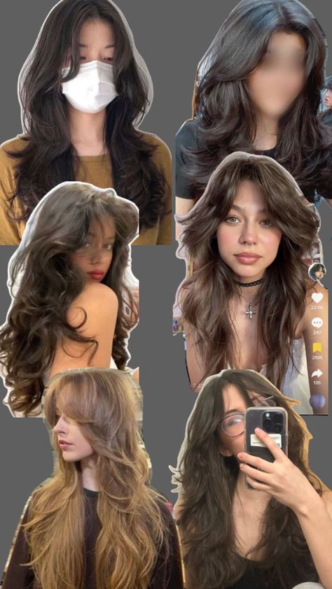 Butterfly Haircut In A Ponytail, Hush Cut Vs Wolf Cut, Butterfly Vs Wolf Cut, Long Wolf Cut Wavy Hair, Wolf Cut Long Vs Butterfly Cut, Wolf Cut Wavy Hair, Long Hair Wolfcut, Wolf Haircut Long Hair, Haircut Wolfcut