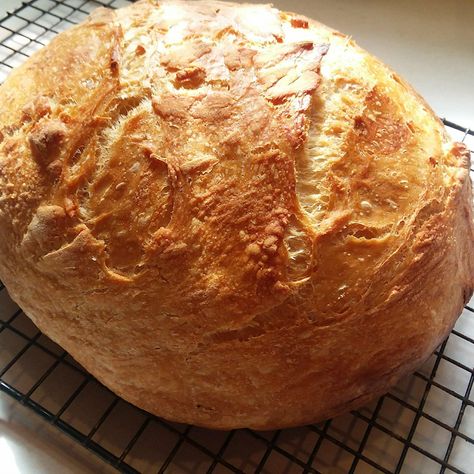 Cooking With Mary and Friends: Rustic Dutch Oven Bread Artisan Bread Dutch Oven, Ciabatta Bread Recipe, Slow Cooker Bread, Beautiful Bread, Oven Bread, Homemade Flatbread, Dutch Oven Bread, Nooks And Crannies, Country Bread