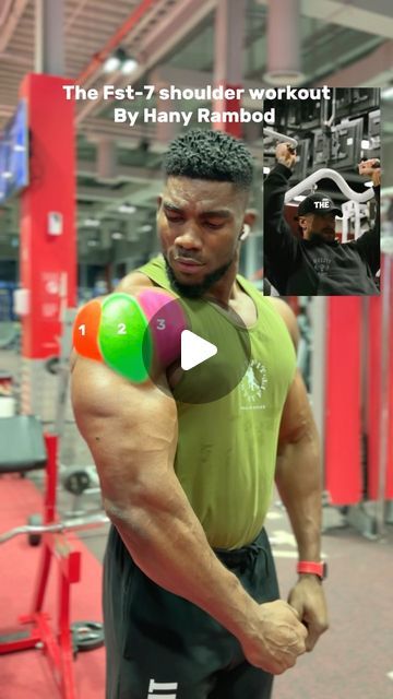 Shoulder Deltoid Workout, Shoulder Press Dumbell, Reverse Pec Deck, Back Workout Machine, Back Shoulder Workout, Shoulder Dumbbell Workout, Pec Deck, Deltoid Workout, Shredded Physique