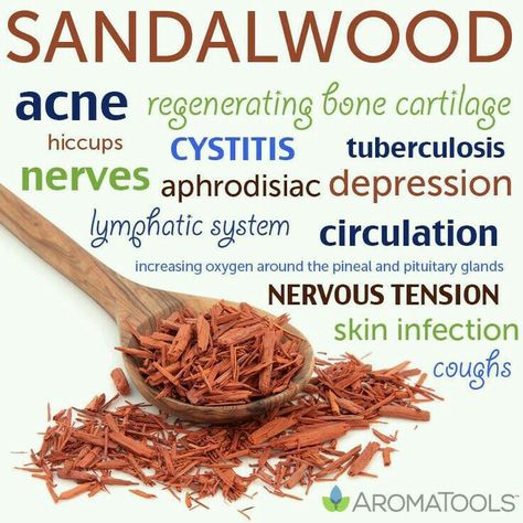 Sandalwood Benefits, Doterra Essential Oils Recipes, Sandalwood Essential Oil, Essential Oils Health, Yl Essential Oils, Essential Oil Benefits, Healing Oils, Young Living Oils, Doterra Oils