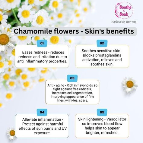 What is chamomile good for?
🌿 Chamomile is perfect for sensitive skin. It soothes irritated skin and calms down inflammation.
🌿Chamomile is antibacterial and great for acne and breakouts.
🌿 Chamomile also gives a natural glow and helps brighten up scars.

Call us and place your order ☎️+91 92054 07236

#soothensoak #chamomile #soap #bar #chamomilesoap #chamomileflower #handmade #naturalingredients #skinsoap #benefitsofchamomile Chamomile Skin Benefits, Chamomile Oil Benefits, Chamomile Benefits, Natural Medicine Recipes, Chamomile Soap, Flower Skin, Chamomile Oil, Herbs For Health, Cell Regeneration