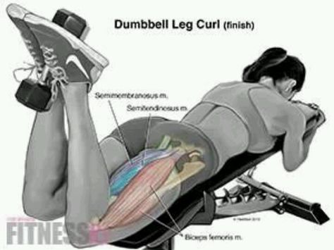 Leg curls Cable Workouts, Celebrity Workouts, Leg Exercise, Hamstring Workout, Leg Curl, Knee Injury, Legs Workout, Motivation Fitness, Lower Body Workout