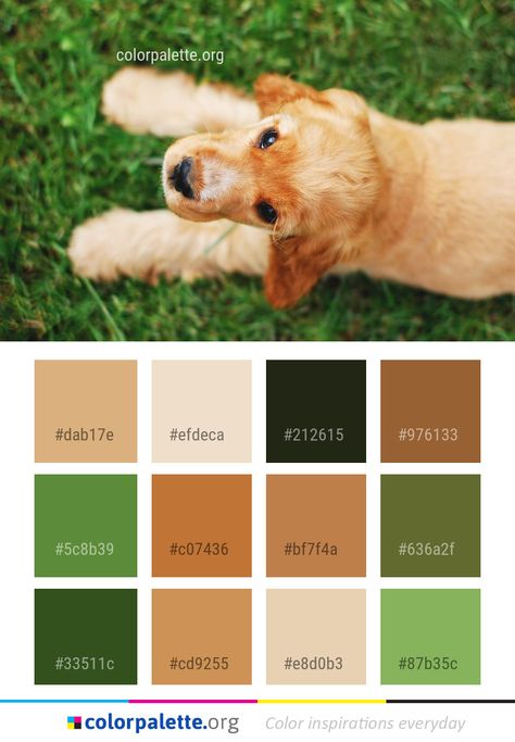 House Paints, Pet Training, Dog Breed, Animal Shelter, House Painting, Color Palettes, Color Combos, Animal Rescue, Dog Breeds