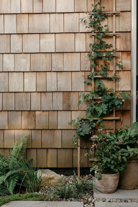 All Posts • Instagram Wood Shakes Exterior, Cedar Shingles Exterior, Shaker Siding Exterior, Cedar Shake House, Sauna Garden, Shaker Siding, Cedar Shingle Siding, Cedar Shake Siding, Shingle House