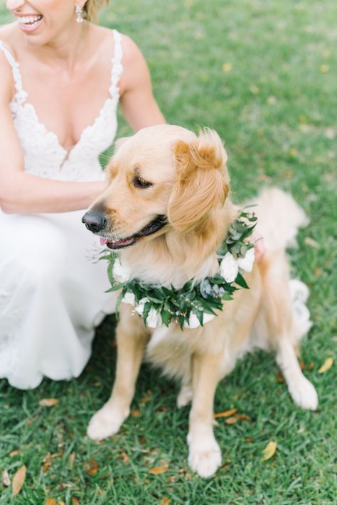 Floral dog wreath for wedding - Golden Retriever in wedding photos Golden Retriever Wedding, Wreath For Wedding, Wedding Dog Collar, Charleston Weddings, Dog Wreath, South Carolina Wedding, Charleston Wedding Photographer, Eucalyptus Wedding, Coastal Wedding