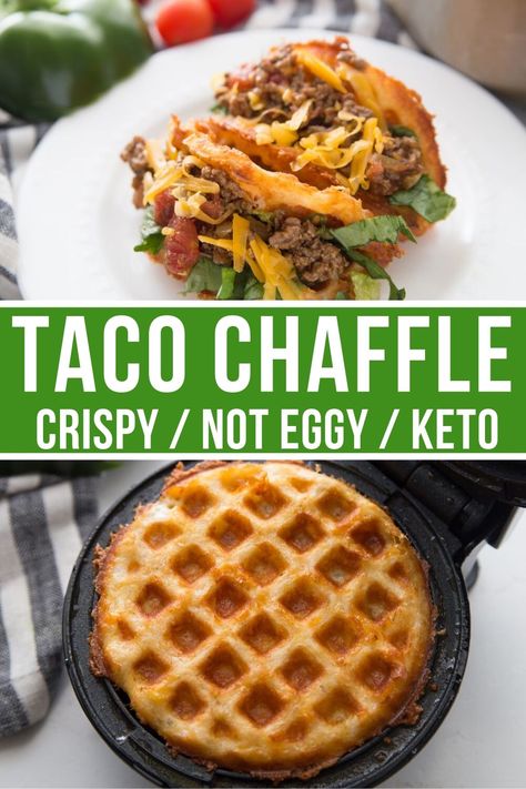 Small Portion Keto Meals, Taco Chaffle Recipe Keto, Carnivore Chaffle Recipe, Chaffles Recipe Keto Easy, Low Carb Chaffles, Chaffle Recipe Keto Easy, Taco Chaffle, Chaffel Recipes, Taco Shell Recipe