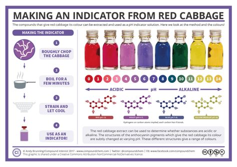 Food Chemistry – Page 3 – Compound Interest Red Cabbage Juice, 6th Grade Science Projects, Ph Indicator, Science Infographics, Cabbage Juice, Chemistry Education, Chemistry Classroom, High School Chemistry, Teaching Chemistry