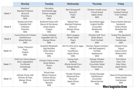 12 weeks of sample daycare lunch menus for home daycare providers! That's three months of healthy meals to feed your daycare or preschool children. Simple lunch ideas that will pass your food program requirements that your kids will eat! Makes meal planning easier and saves time! #homedaycare #childcare #daycare #daycareprovider Preschool Menu Meal Planning Lunch Ideas, Preschool Meal Plan, Daycare Food Program Meals, Preschool Menu Meal Planning, School Menus Lunch Ideas, Cafeteria Menus School Lunch, School Cafeteria Menu Ideas, Preschool Menu Ideas, Home Daycare Menu Ideas