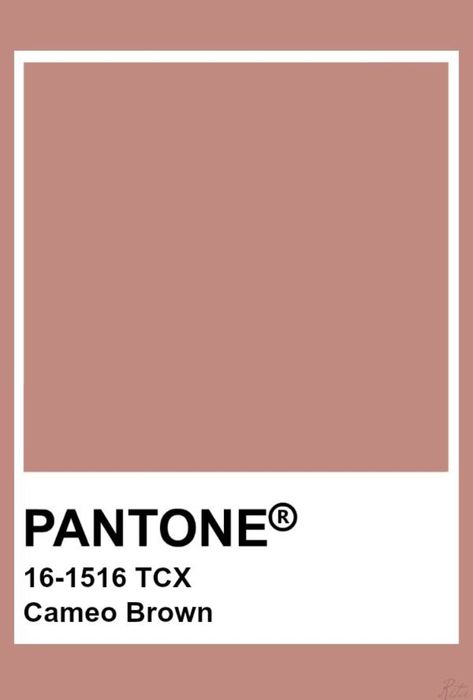 Earth Pantone, Pantone Brown, Deep Autumn Palette, Brown Pantone, Pink Earth, Pantone Tcx, Pantone Color Chart, Pantone Swatches, Color Terracota