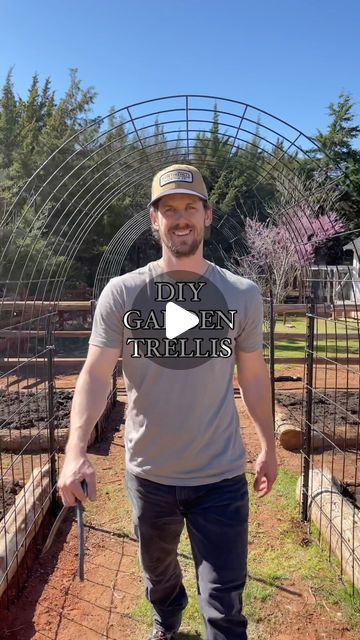 How to 👇🏼

But first, you better hype up Addison in the comments for being in this reel! 😉 

MATERIALS:
• 4 T-Posts
• 1 catt... | Instagram Cattle Panel Fence Diy Garden Trellis, T Post Garden Fence, Cattle Panel Arch, Curb Garden, Cattle Panel Fence, Cattle Panel Trellis, Garden Landscaping Diy, Cattle Panels, Balcony Planters