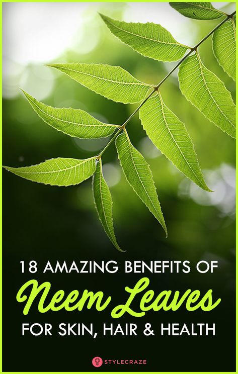 Can You Eat Neem Leaves? What Are The Health Benefits? Neem Leaves For Skin, Neem Leaf Benefits, Neem Plant, Herbs Benefits, Benefits Of Neem, Sagging Skin Remedies, Woman's Health, Neem Leaves, Neem Leaf