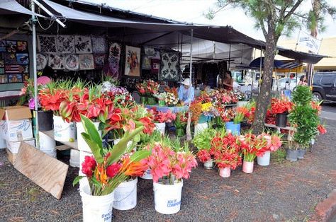 hilo farmers market Hilo Farmers Market, Farmers Markets, Big Island Hawaii, Local Produce, Island Living, Hawaii Island, Hawaiian Islands, Exotic Flowers, Big Island