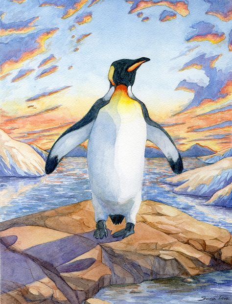 Penguin art Pinguin Illustration, Penguin Painting, Penguin Watercolor, Penguin Illustration, Penguin Drawing, Penguin Art, Bird Drawings, Watercolor Inspiration, Watercolor Animals