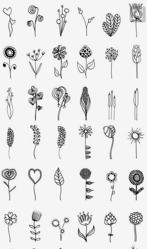 Doodle Art Flowers, Flower Drawings, 강아지 그림, Illustration Botanique, Doodle Coloring, Doodle Art Designs, Flower Doodles, Bullet Journal Doodles, Journal Doodles