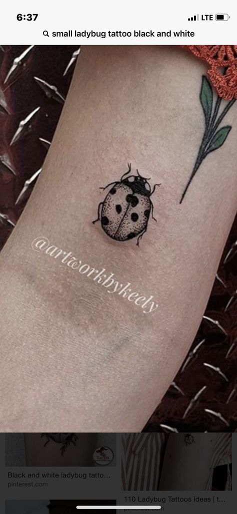 Ladybug Tattoo Ideas Black, Black And Grey Ladybug Tattoo, Ladybug With Flower Tattoo, Black And White Ladybug Tattoo, Ladybug Tattoo Black And White, Fine Line Ladybug Tattoo, Ladybug Tattoo, White Ladybug, Whimsical Tattoos