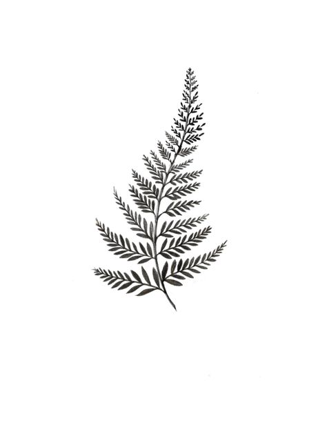 Ferns Tattoo Design, Small Fern Drawing, Small Fern Leaf Tattoo, Fern Ankle Wrap Tattoo, Foliage Tattoo Men, Fern Tattoo Stencil, Wrap Around Fern Tattoo, Fern Leaf Tattoo Design, Fern Line Tattoo