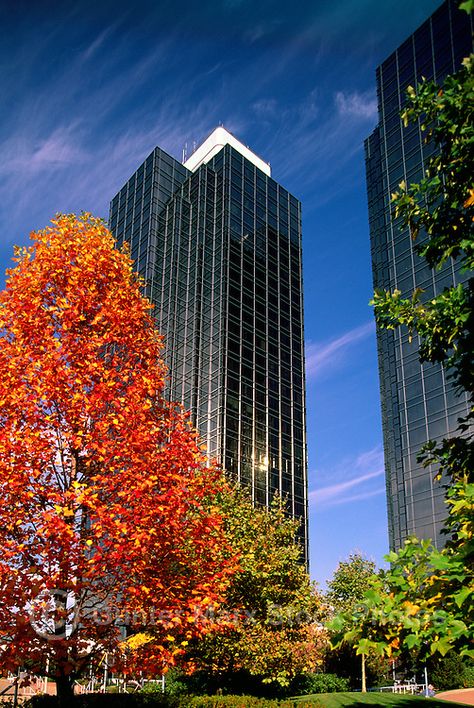 Metrotown-Office-Buildings-Burnaby-BC-British-Columbia-Canada Burnaby British Columbia, Burnaby Canada, High Rise Office, British Columbia Winter, British Columbia Road Trip, British Columbia Travel, Kelowna British Columbia, Victoria British Columbia, Office Buildings