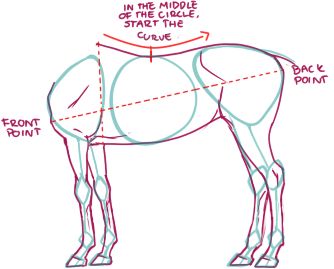 Horse Body Reference, How To Draw A Centaur, Centaur Tutorial, Horse Body Drawing, How To Draw A Horse Step By Step, How To Draw Horses, Draw Horse, Horse Drawing Tutorial, Draw A Horse