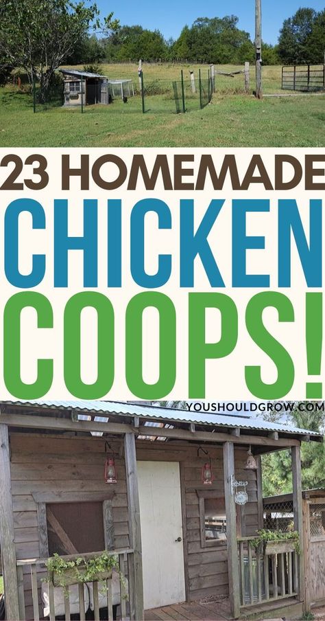 Diy Chicken Coop Ideas, Chicken Coop Designs Diy, Easy Diy Chicken Coop, Chicken Coop Plans Free, Chicken Coop Ideas, Cheap Chicken Coops, Chicken Coop Pallets, Build A Chicken Coop, Chicken Houses