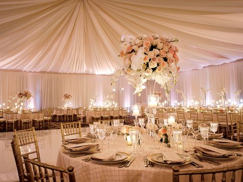 Draped ceiling wedding reception Reception Venue Decorations, Wedding Drapery, Wedding Draping, Draping Wedding, Wedding Ceiling, Ceiling Draping, Style Hacks, Venue Decorations, Wedding Venue Decorations