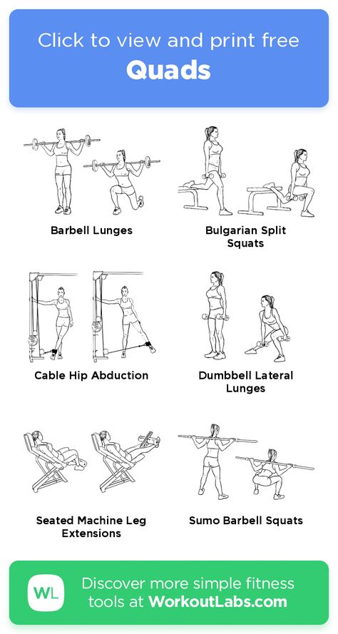 Quad And Core Workout, Quad And Hammies Workout, Quad Cable Exercises, Quad Excersizes, Women Quad Workout, Quadracept Workout, Home Quad Workouts, Big Quads Workout, Best Quad Workout