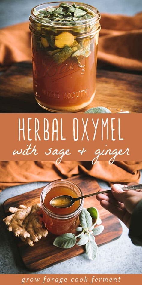 When fall comes, it's a good idea to start thinking about herbal remedies that will keep you healthy through winter. This herbal oxymel recipe with sage and ginger is easy to make and has many benefits for the immune system. It also happens to be deliciously sweet and sour!