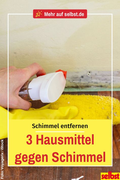 Schimmelmittel sind hoch aggressiv und nicht sonderlich gesundheitsfördernd. Bei einem kleinen Befall lohnt es sich daher, es zuerst mit den folgenden drei Hausmitteln zu versuchen! #schimmel #schimmelbeseitigen #hausmittel #gesundheit #alkohol #selbst Winter Party Themes, Winter Party, Jonas Brothers, Quick Saves