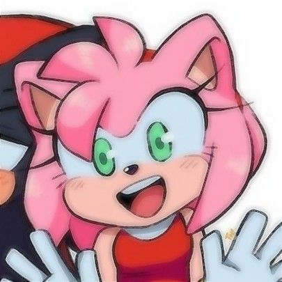 Amy X Shadow Matching Pfp, Shadow X Amy Matching Icons, Amy And Shadow Matching Pfp, Shadow And Amy Matching Pfp, Sonic Matching Pfp, Shadow And Amy, Matching Profile, Amy Rose, Shadow The Hedgehog