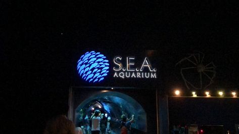 S.E.A Aquarium, Singapore Sea Aquarium, Singapore, Places To Visit, Neon Signs, Neon