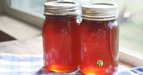 Crabapple Jelly, Easy homemade recipe with canning instructions. - Easy homemade jelly recipe for a delicious treat! Homemade Jelly Recipe, Crabapple Jelly Recipe, Steam Canning, Crabapple Jelly, Crab Apple Jelly, Apple Jelly, Homemade Jelly, Jelly Recipe, Jelly Recipes