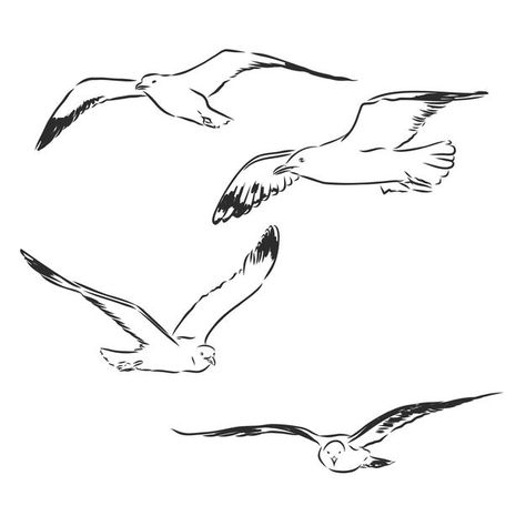 Seagull Illustration Vintage, Flying Seagull Tattoo, Beach Bird Tattoo, Simple Seagull Tattoo, Seagull Tattoo Design, Sea Gull Tattoo, Seagulls Drawing, Seagull Doodle, Seagulls Illustration