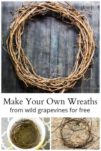 Things To Make With Grape Vines, How To Make Grapevine Wreaths Easy Diy, Vine Crafts Ideas, Grape Vine Projects, Grapevine Ideas Projects, Grapevine Diy Ideas, Diy Vine Wreath How To Make, How To Make A Vine Wreath, How To Make A Twig Wreath