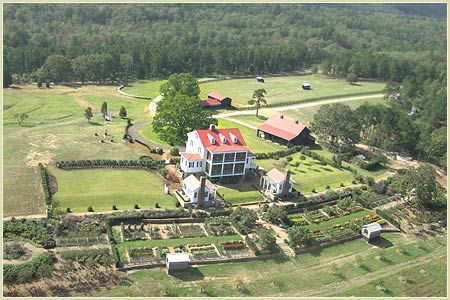 Moss Mountain Farm, Home Retreat, P Allen Smith, Mountain Farm, Modern Mountain, House Plant Care, Glass Garden, Green Life, Garden Fence