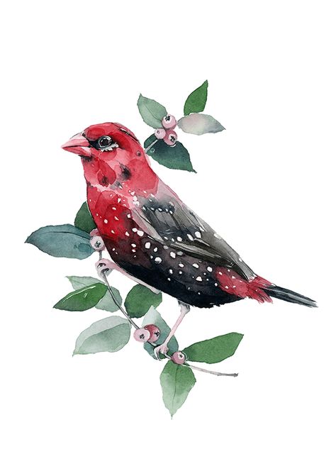 Strawberry Finch, Polina Bright, Watercolor Fine Art, Animal Illustration Art, Picture Illustration, Botanical Painting, Bird Drawings, Bird Illustration, Watercolor Bird