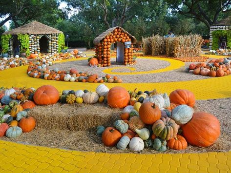 Pumpkin Patch Near Me, Muffins Pumpkin, Pumpkin Patch Kids, Pumpkin Patch Birthday, Dessert Pumpkin, Bread Pumpkin, Cookies Pumpkin, Pumpkin Patch Party, Savory Pumpkin